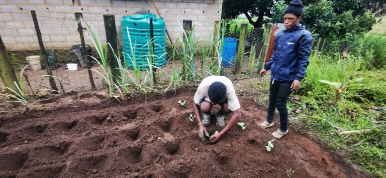 Diverse Garden in the backyard of Phakathi Family