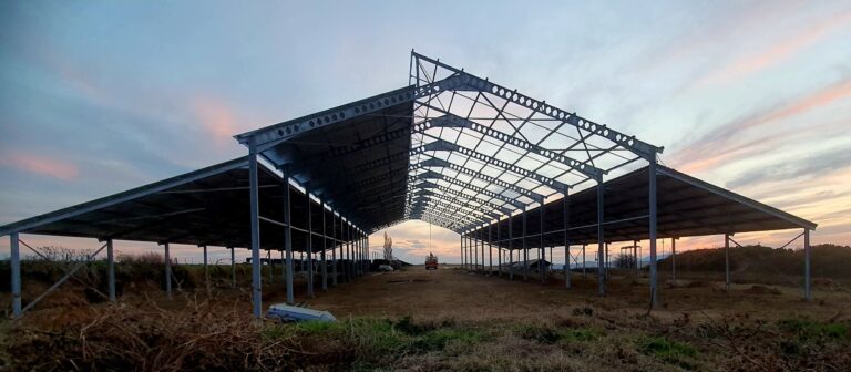 Emseni’s New Project: Building a Cow Shed!
