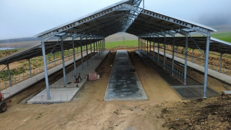 Building a Cow Shed!