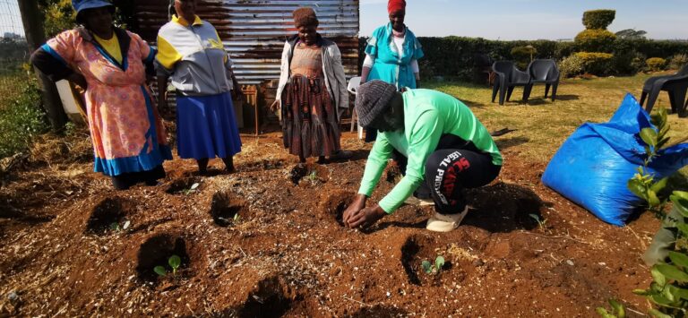 8 Family gardens in Bhamshela