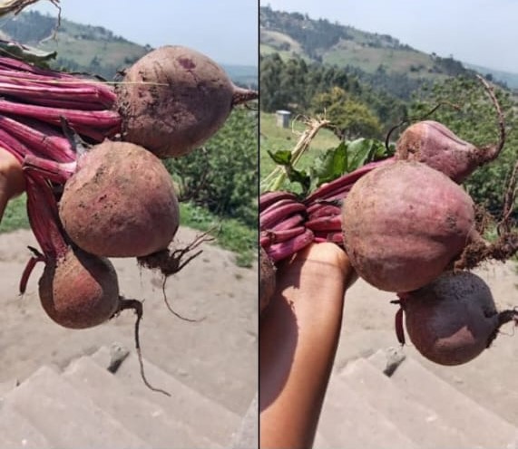 WhatsApp Image 2025-10-14 at 17.33.42 (1)