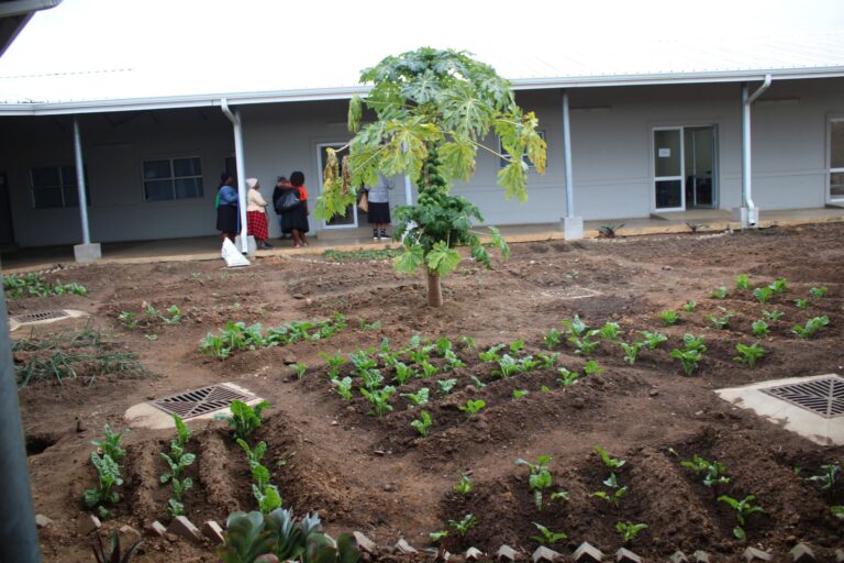 Avocado Cultivation Workshop