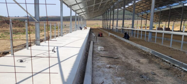 Building a Cow Shed!