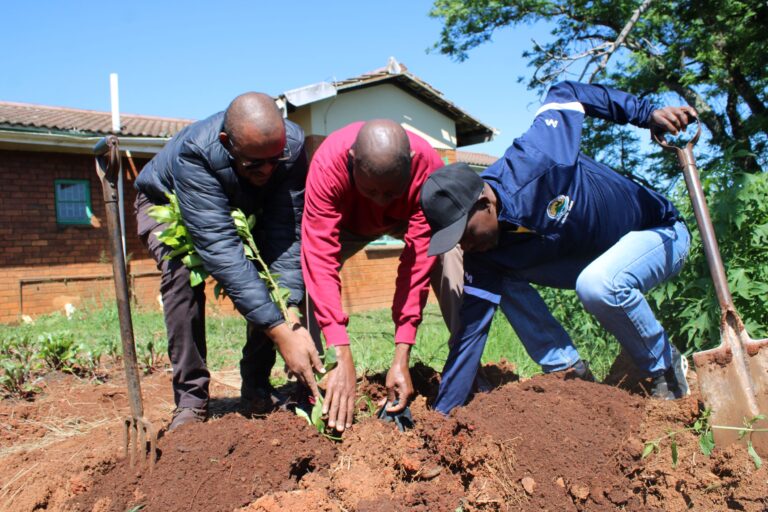 Empowering Farmers Beyond Agriculture: Maphumulo Workshop Highlights