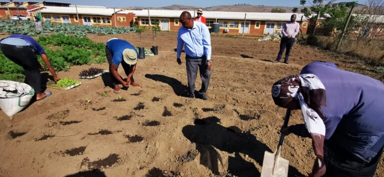 A Day of Planting and Purpose