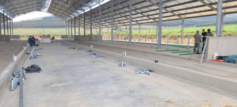 Building a Cow Shed!