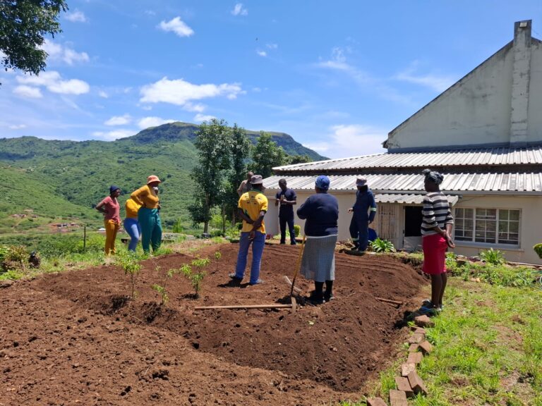 Seedlings for St Philomena’s Catholic Mission