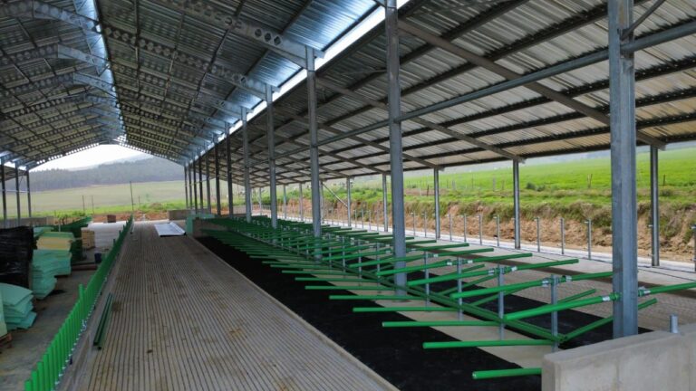 Building a Cow Shed!