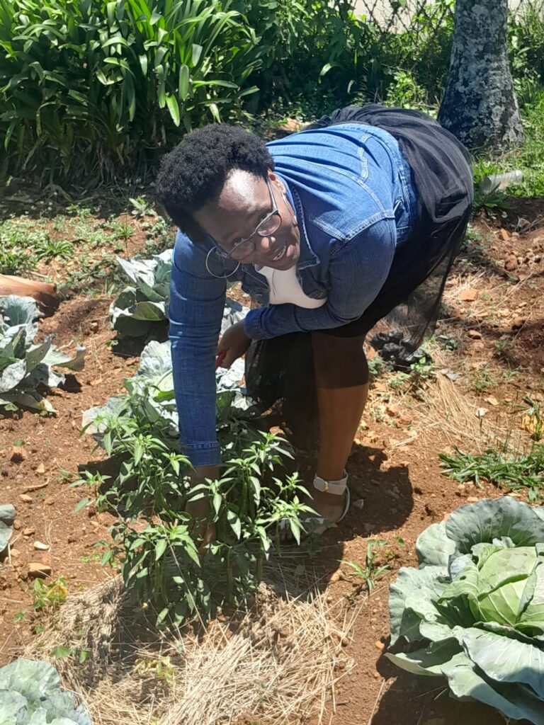 WhatsApp Image 2025-12-05 at 14.03.09