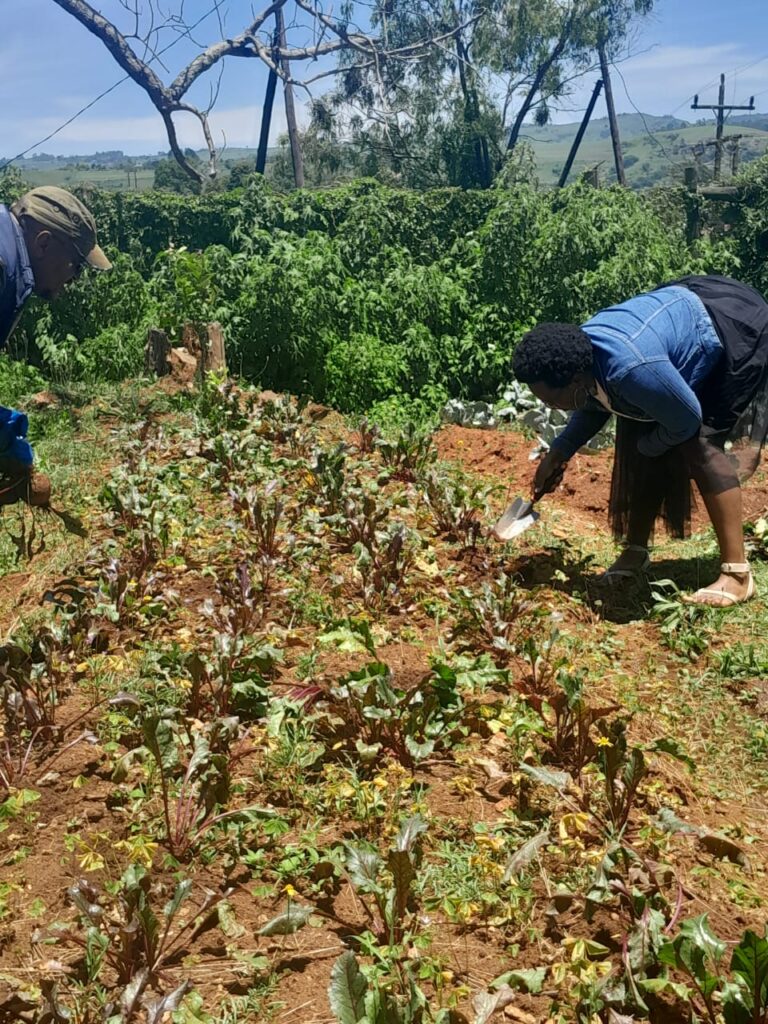 WhatsApp Image 2025-12-05 at 14.03.17