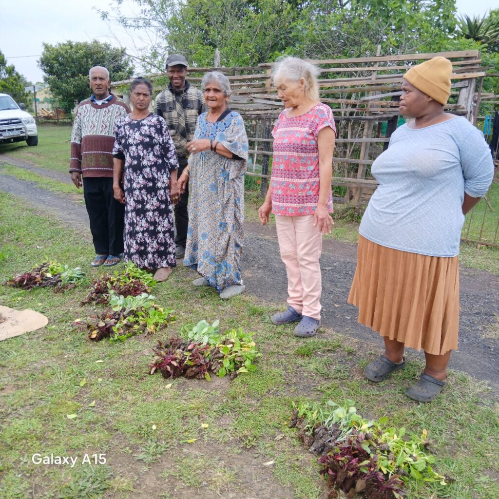 WhatsApp Image 2025-12-18 at 16.17.19