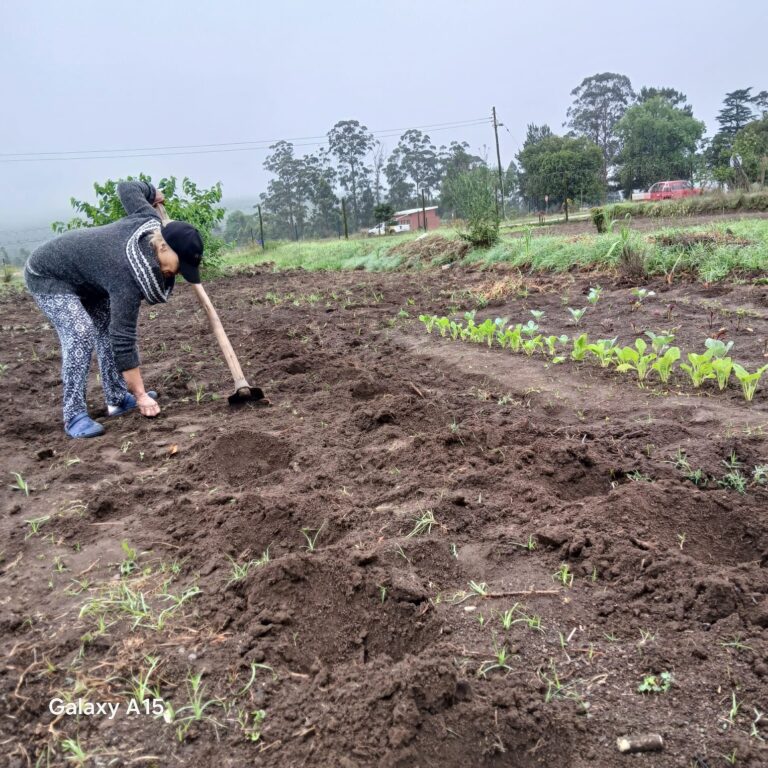 Helping our Senior Citizens with Vegetables