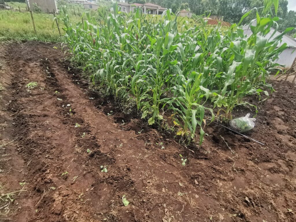 WhatsApp Image 2026-01-21 at 13.05.48