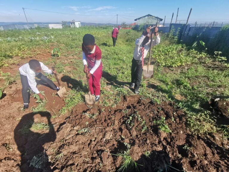 Learning to Work the Soil