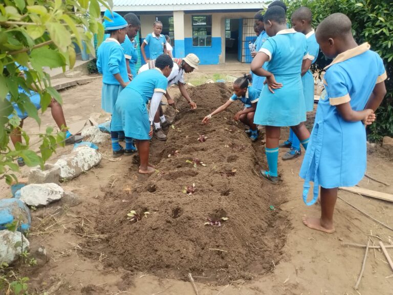A Fresh Start: Sakhumuzi Primary Plants a New Garden