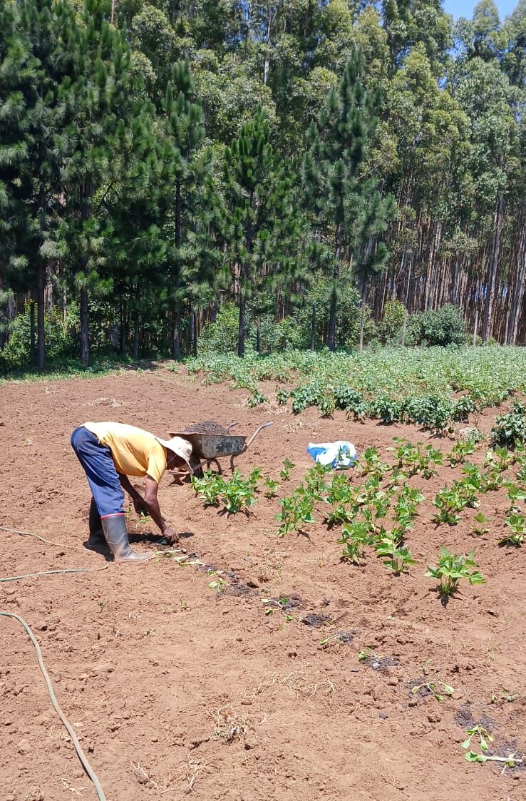 WhatsApp Image 2026-02-05 at 15.48.14 (1)