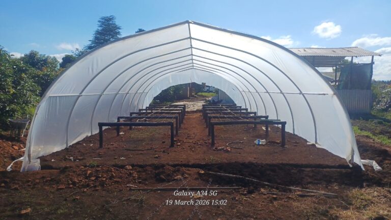 Developing a Seedling Nursery at Deemount