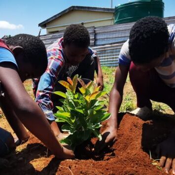 School Initiative